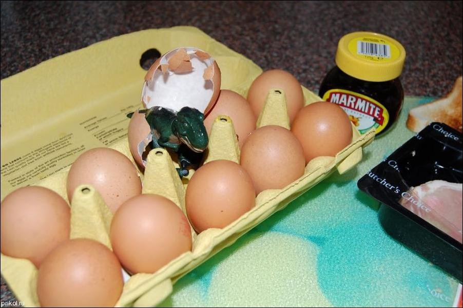 Про мужскую яйцо. Смешные яйца. Прикольные пасхальные яйца. Прикольные яйца на Пасху. Куриные яйца прикол.