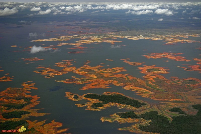 Реки и озера венесуэлы. Дельта Ориноко Венесуэла. Река Ориноко Южная Америка. Озеро Ориноко. Дельта реки Ориноко.