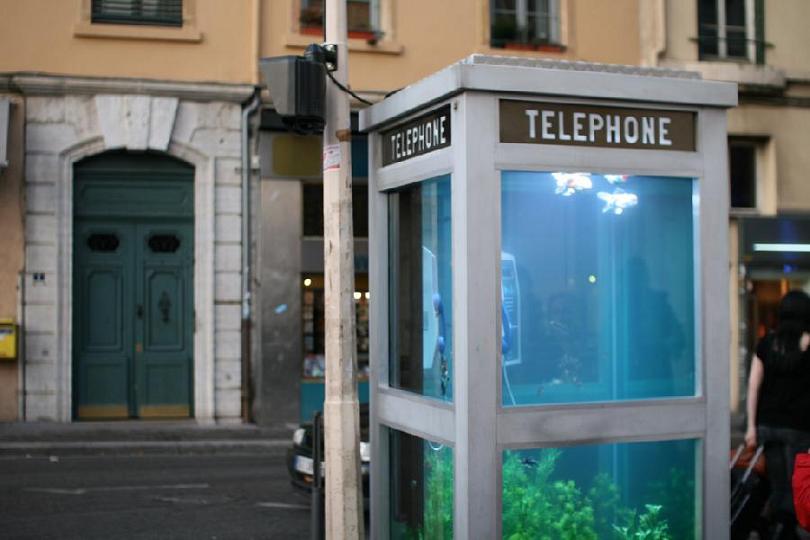 aquarium-phone-01